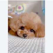 ヒメ日記 2025/11/01 13:17 投稿 あやか 出逢い