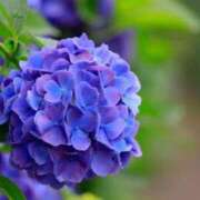 ヒメ日記 2025/06/24 09:37 投稿 りおん 出逢い