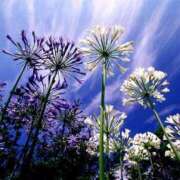 ヒメ日記 2025/07/16 09:47 投稿 りおん 出逢い