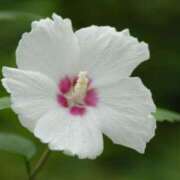 ヒメ日記 2025/07/23 10:27 投稿 りおん 出逢い