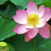 ヒメ日記 2025/08/01 09:47 投稿 りおん 出逢い