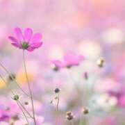 ヒメ日記 2025/09/30 09:47 投稿 りおん 出逢い