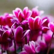 ヒメ日記 2025/11/10 11:07 投稿 りおん 出逢い