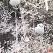 ヒメ日記 2025/03/04 22:39 投稿 ありす 出逢い