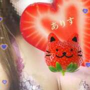 ヒメ日記 2025/04/19 20:17 投稿 ありす 出逢い