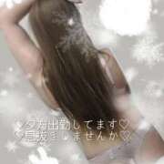 ヒメ日記 2025/05/11 15:27 投稿 ありす 出逢い