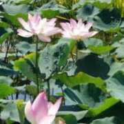 ヒメ日記 2025/07/26 21:27 投稿 ありす 出逢い