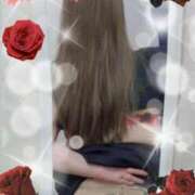 ヒメ日記 2025/07/29 13:37 投稿 ありす 出逢い