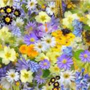 ヒメ日記 2024/12/16 22:54 投稿 ももか 出逢い