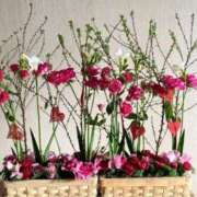 ヒメ日記 2024/12/19 23:27 投稿 ももか 出逢い