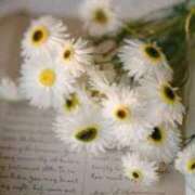 ヒメ日記 2025/01/06 22:27 投稿 ももか 出逢い