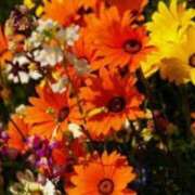 ヒメ日記 2025/01/09 21:47 投稿 ももか 出逢い