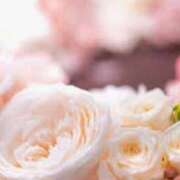 ヒメ日記 2025/01/17 21:47 投稿 ももか 出逢い