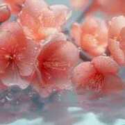 ヒメ日記 2025/01/27 22:27 投稿 ももか 出逢い