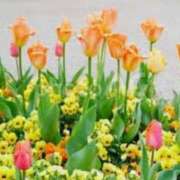 ヒメ日記 2025/01/27 22:34 投稿 ももか 出逢い