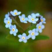 ヒメ日記 2025/02/28 20:17 投稿 ももか 出逢い