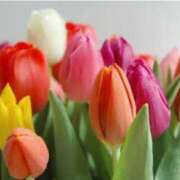 ヒメ日記 2025/05/27 23:27 投稿 ももか 出逢い