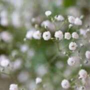 ヒメ日記 2025/06/03 23:27 投稿 ももか 出逢い