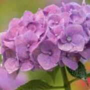 ヒメ日記 2025/06/27 22:28 投稿 ももか 出逢い