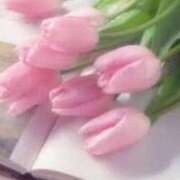 ヒメ日記 2025/06/30 21:37 投稿 ももか 出逢い