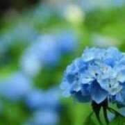 ヒメ日記 2025/07/01 20:57 投稿 ももか 出逢い