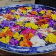 ヒメ日記 2025/07/14 20:17 投稿 ももか 出逢い