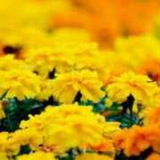 ヒメ日記 2025/07/29 20:47 投稿 ももか 出逢い