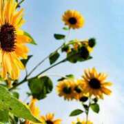 ヒメ日記 2025/08/07 21:57 投稿 ももか 出逢い