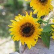 ヒメ日記 2025/08/21 21:47 投稿 ももか 出逢い