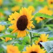 ヒメ日記 2025/08/28 23:27 投稿 ももか 出逢い