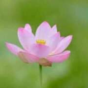 ヒメ日記 2025/09/02 22:17 投稿 ももか 出逢い