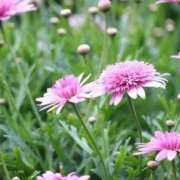 ヒメ日記 2025/09/11 21:47 投稿 ももか 出逢い