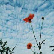 ヒメ日記 2025/09/25 09:39 投稿 ももか 出逢い