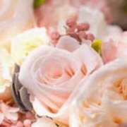 ヒメ日記 2025/10/06 22:40 投稿 ももか 出逢い