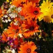 ヒメ日記 2025/10/17 23:27 投稿 ももか 出逢い