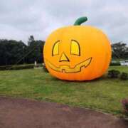 ヒメ日記 2025/10/20 12:47 投稿 ももか 出逢い