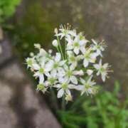 ヒメ日記 2025/10/21 09:27 投稿 ももか 出逢い