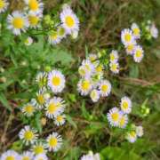 ヒメ日記 2025/10/24 09:37 投稿 ももか 出逢い