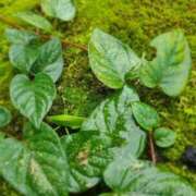 ヒメ日記 2025/10/27 21:17 投稿 ももか 出逢い