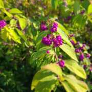 ヒメ日記 2025/10/31 08:17 投稿 ももか 出逢い