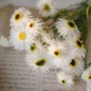 ヒメ日記 2025/11/10 19:47 投稿 ももか 出逢い