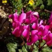 ヒメ日記 2025/11/11 23:37 投稿 ももか 出逢い