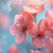 ももか ありがとう 出逢い