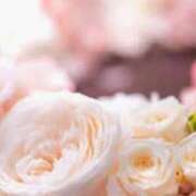 ヒメ日記 2026/02/20 22:17 投稿 ももか 出逢い