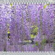 ヒメ日記 2025/04/26 19:57 投稿 れな 出逢い