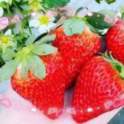 ヒメ日記 2025/04/30 17:27 投稿 れな 出逢い