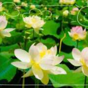 ヒメ日記 2025/07/02 14:47 投稿 れな 出逢い