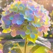ヒメ日記 2026/06/01 10:17 投稿 れな 出逢い