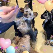 きみか おはよう👋 出逢い