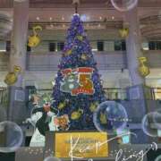 ヒメ日記 2025/12/24 09:57 投稿 きみか 出逢い